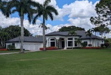 PXL 20250227 170732997