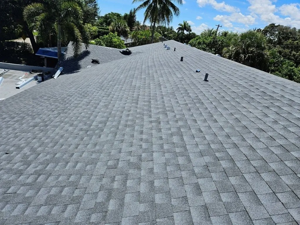 service single images